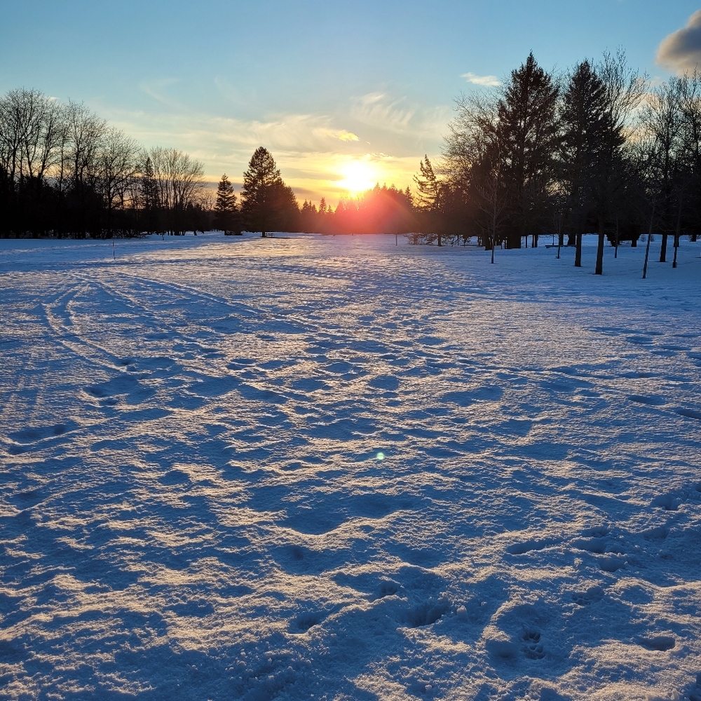 Meet your Posher, Heloise